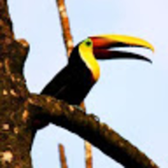 Meet your Posher, Caitlin - Picture 1 of 1